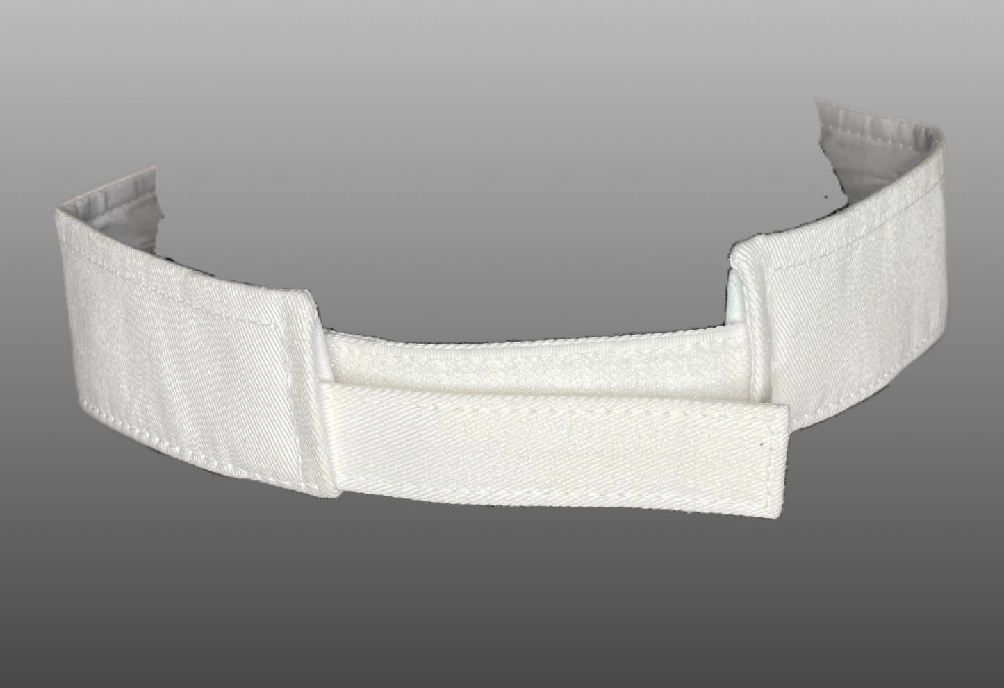 B&W HOUSE VISOR