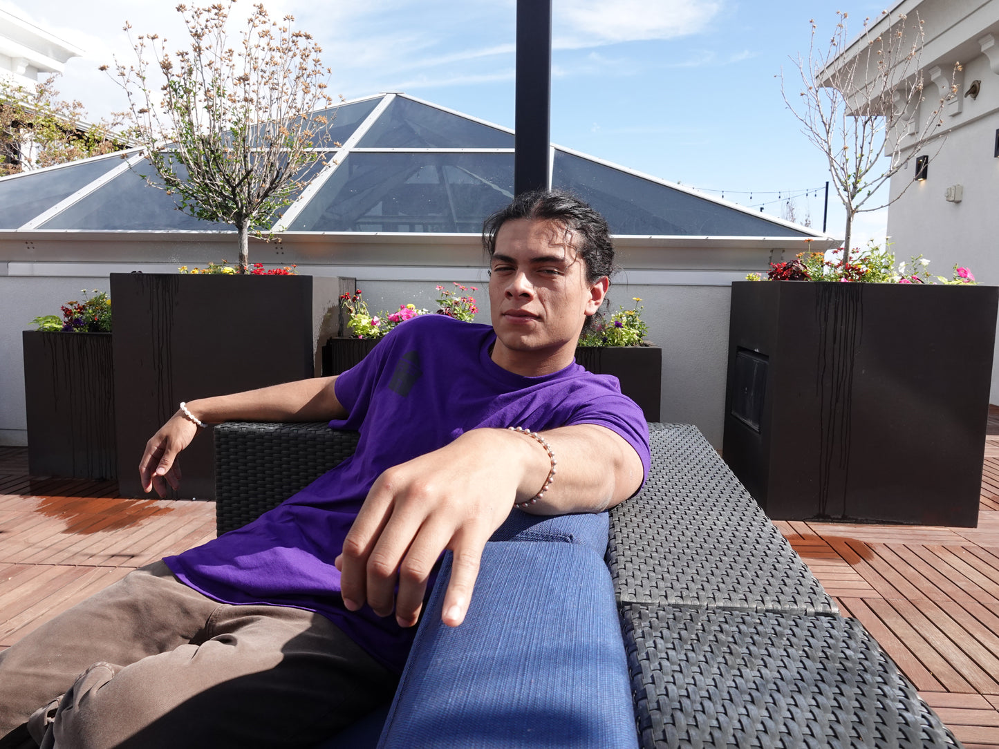 PURPLE HOUSE